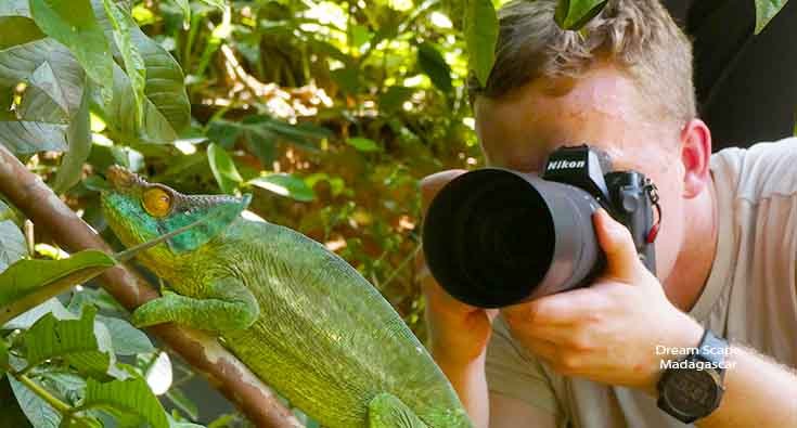 photographer take a photo of chameleon during wildlife tour