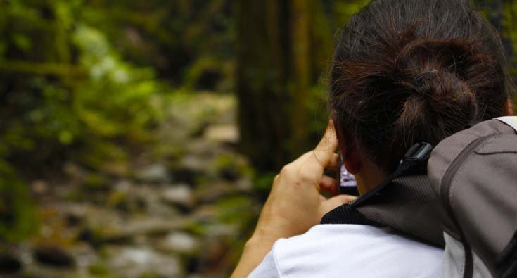 Wildlife safari in Madagascar with a traveller photographing a lemur with expert local guide