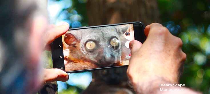wildlife safari in madagascar with a traveller photographing a lemur with expert local guide